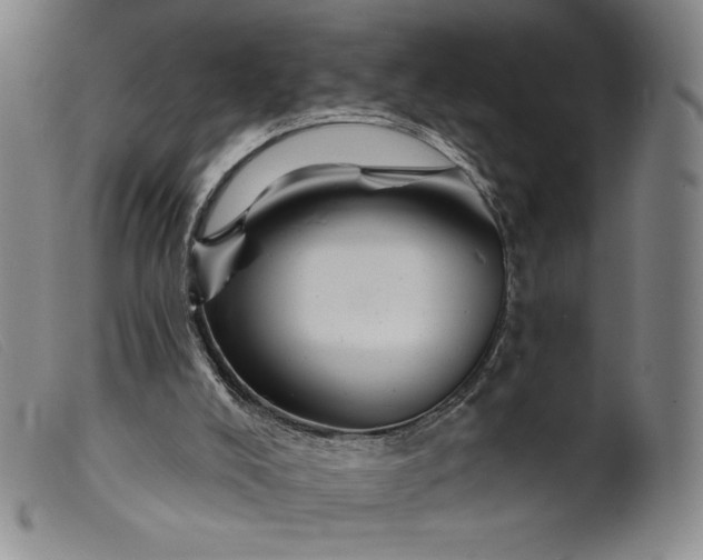 X0000099440008200805231728