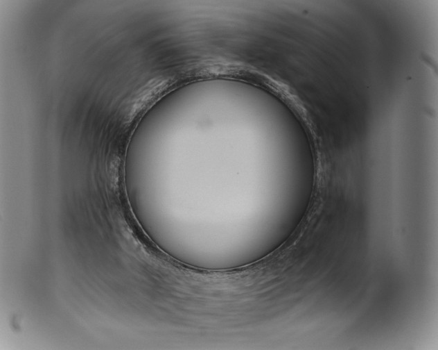X0000099440010200805231728