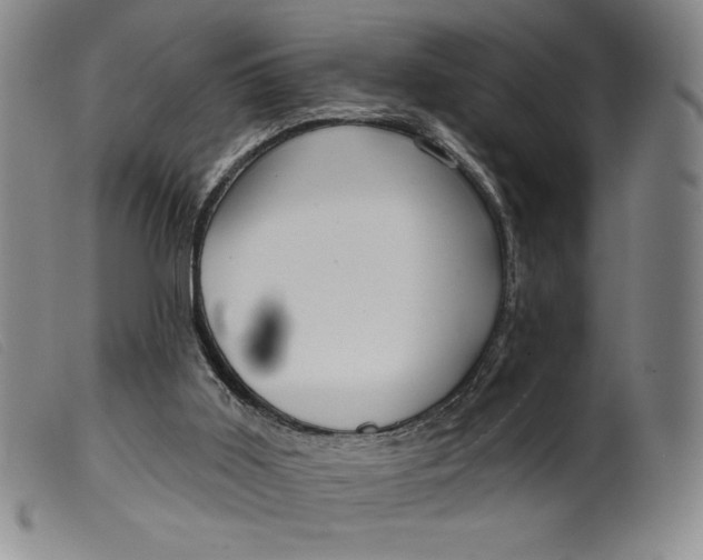 X0000099440011200805231728