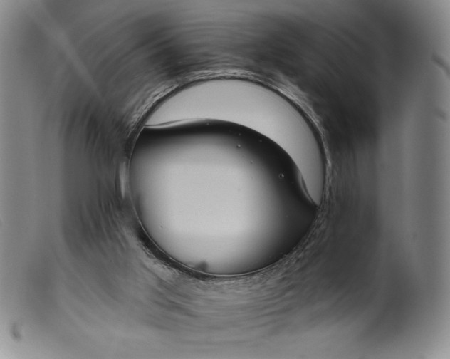 X0000099440013200805231728