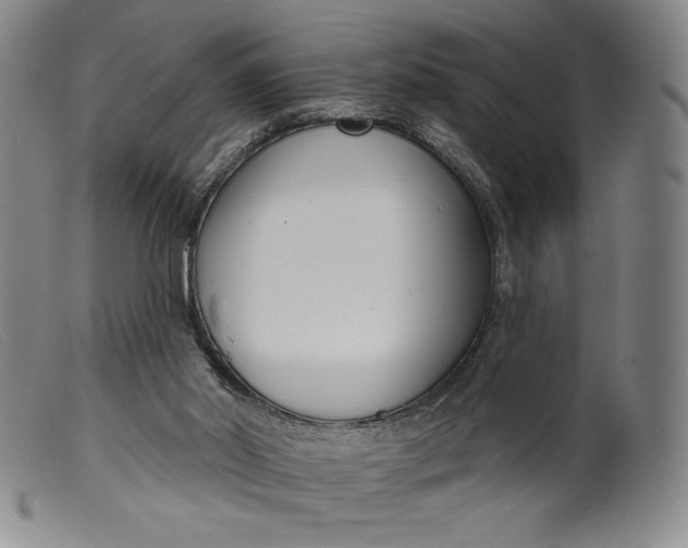 X0000099440014200805231728