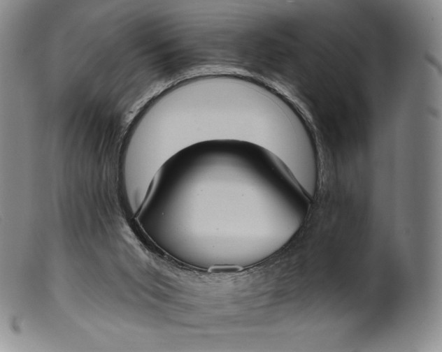 X0000099440015200805231728