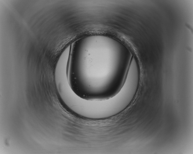 X0000099440017200805231728