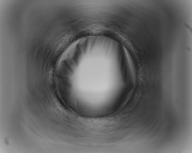X0000099440018200805231728