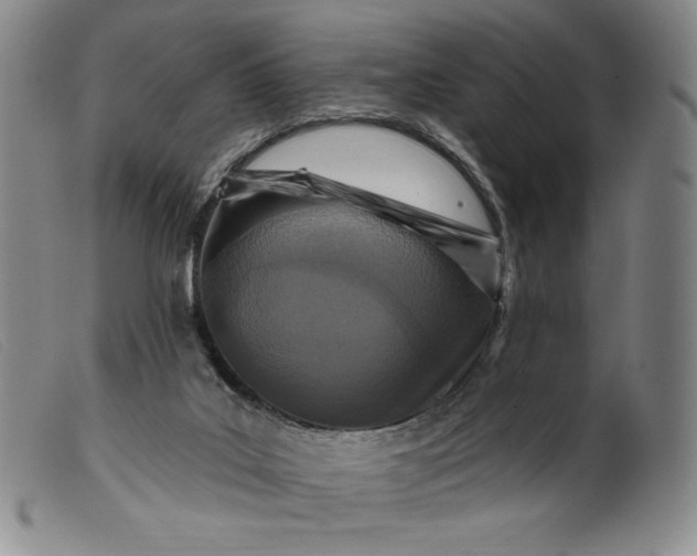 X0000099440019200805231728