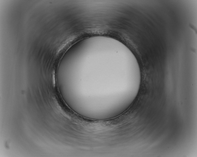 X0000099440020200805231728
