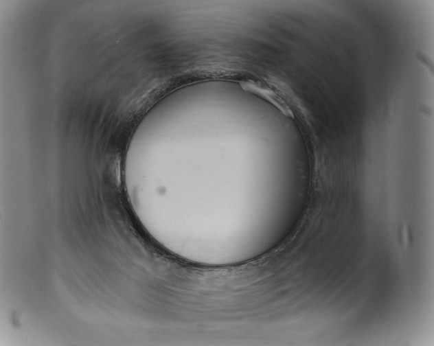 X0000099440021200805231728