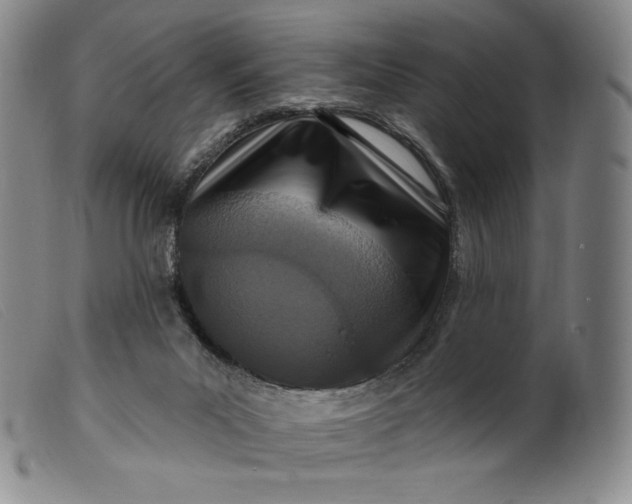 X0000099440023200805231728