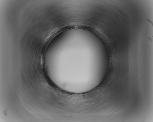 X0000099440024200805231728