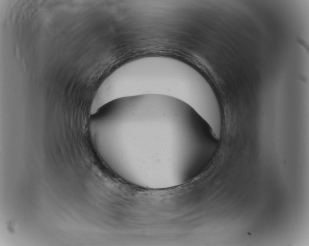 X0000099440025200805231728