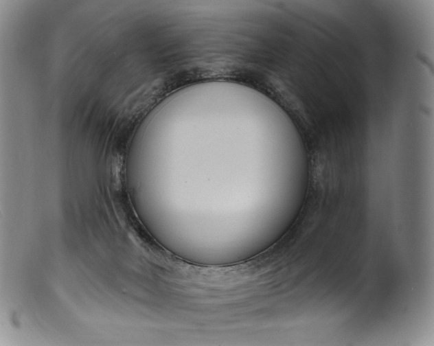 X0000099440026200805231728