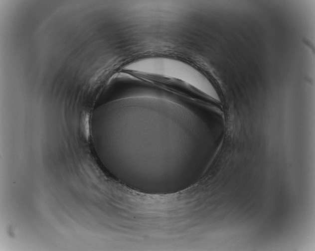 X0000099440027200805231728