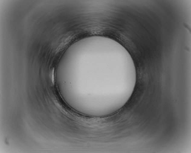 X0000099440028200805231728