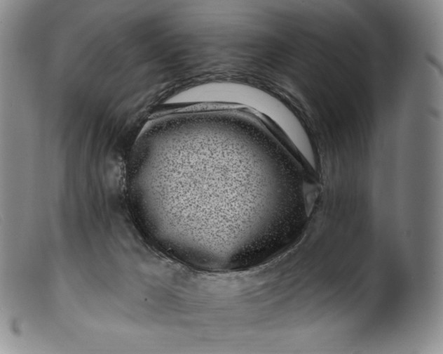 X0000099440029200805231728