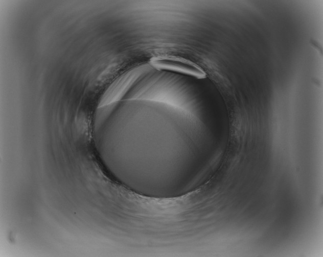 X0000099440031200805231728
