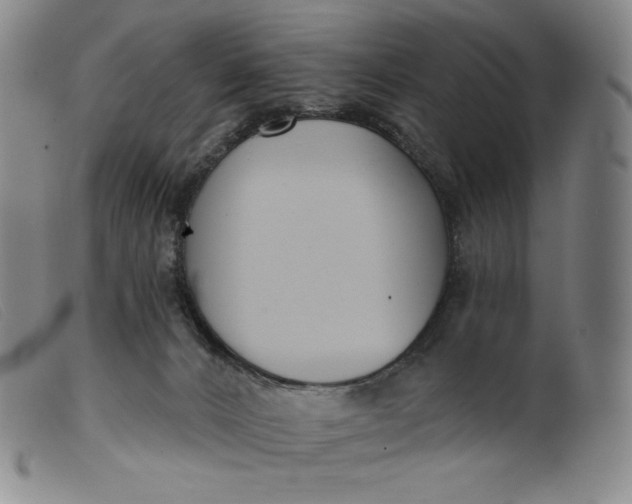 X0000099440032200805231728