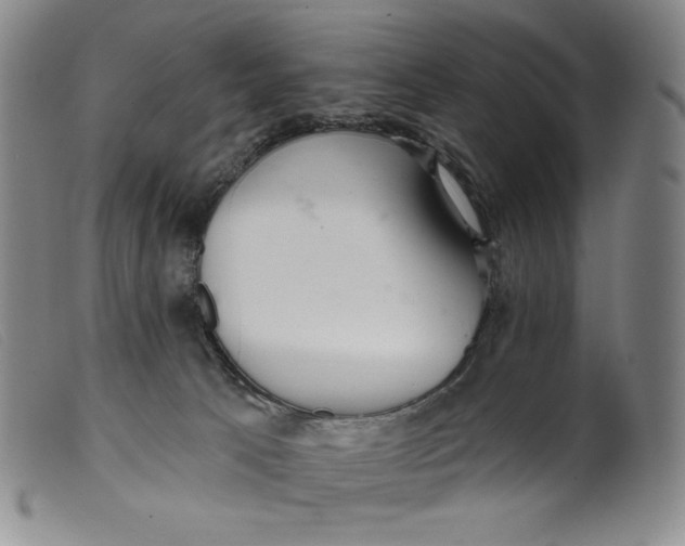 X0000099440033200805231728