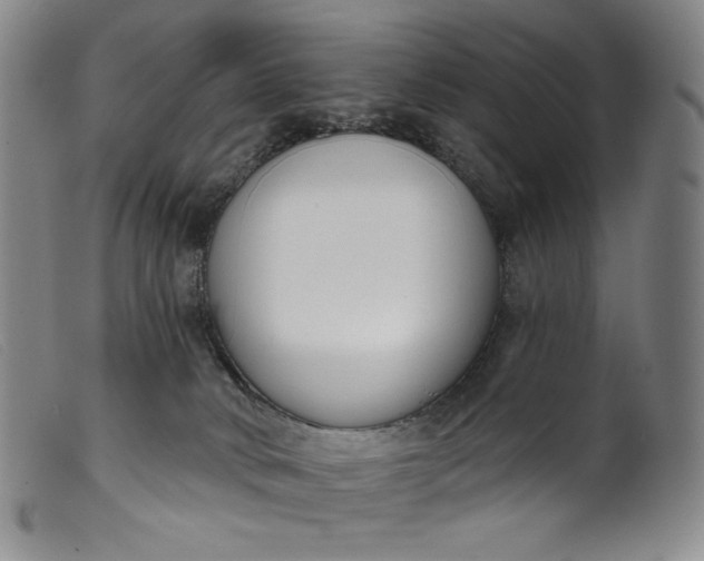 X0000099440034200805231728