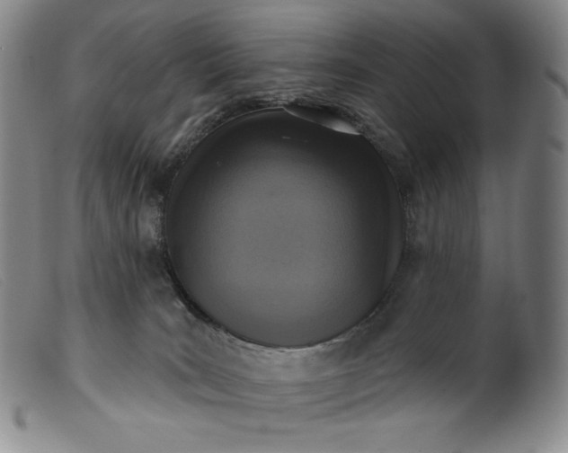 X0000099440035200805231728