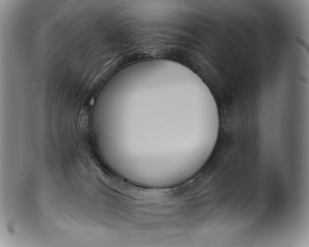 X0000099440036200805231728