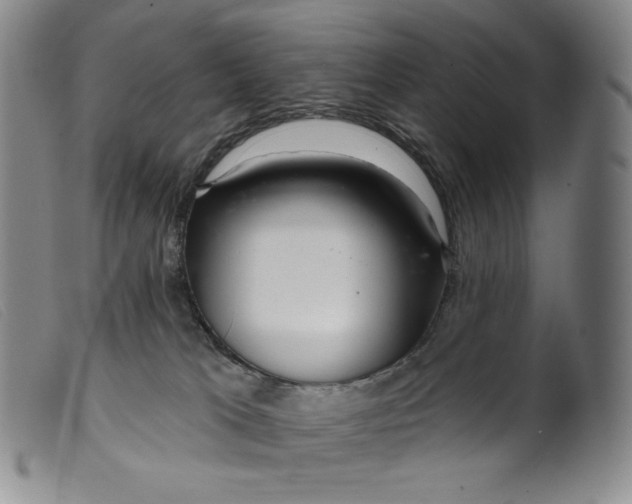 X0000099440037200805231728