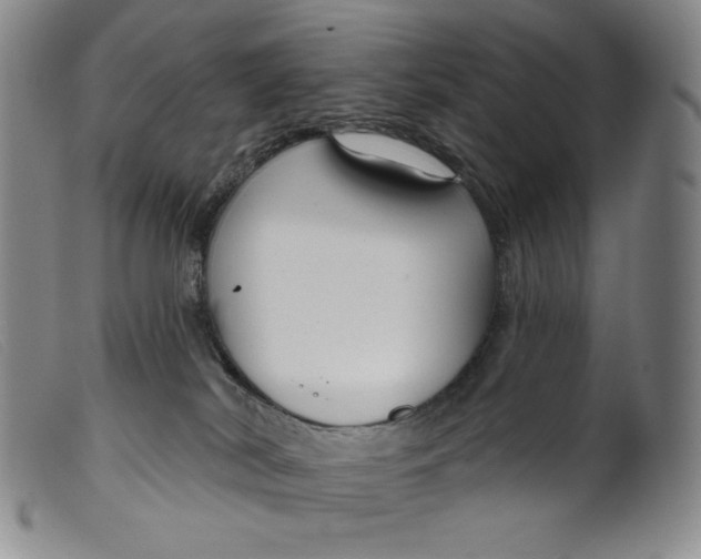 X0000099440038200805231728
