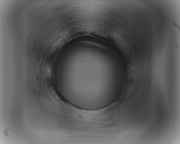 X0000099440039200805231728