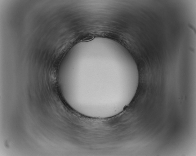 X0000099440040200805231728