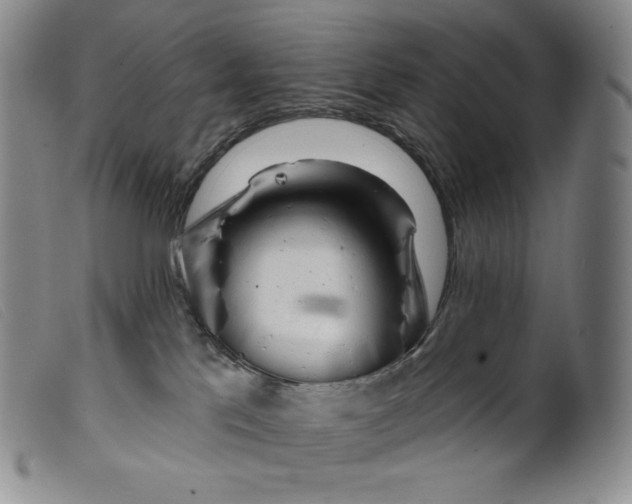 X0000099440041200805231728