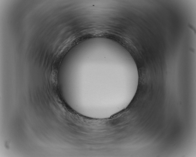 X0000099440044200805231728