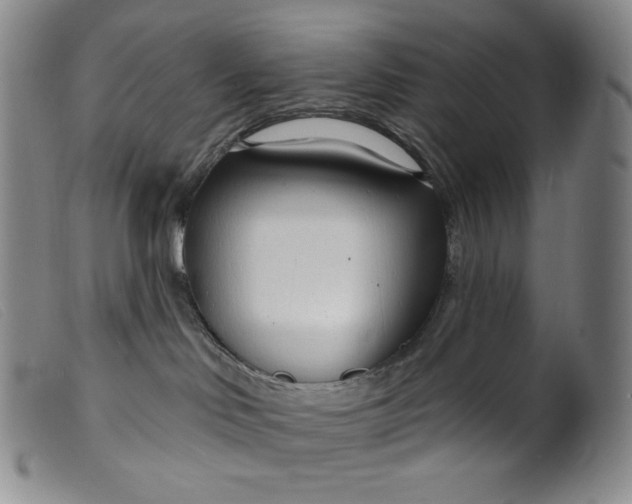 X0000099440046200805231728