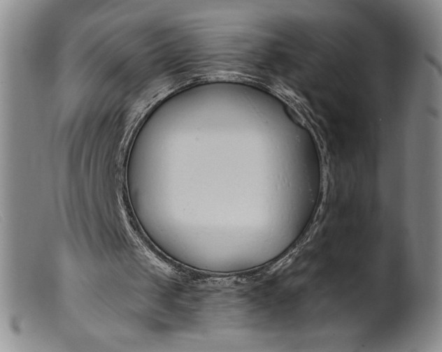 X0000099440049200805231727