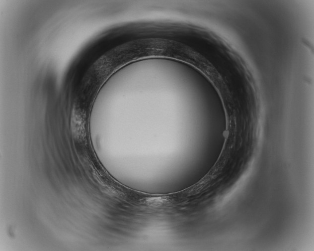 X0000099440050200805231727