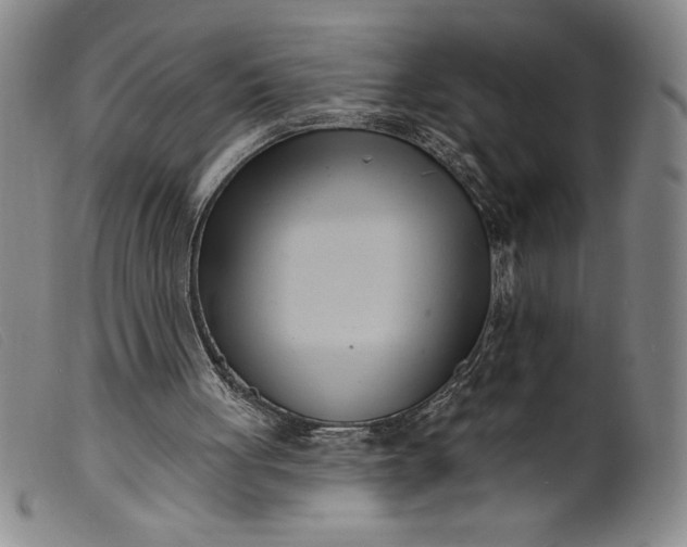 X0000099440051200805231727