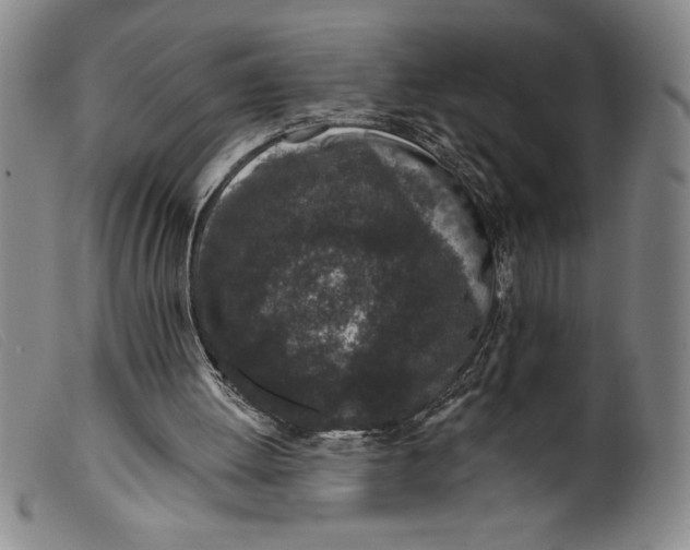X0000099440052200805231727