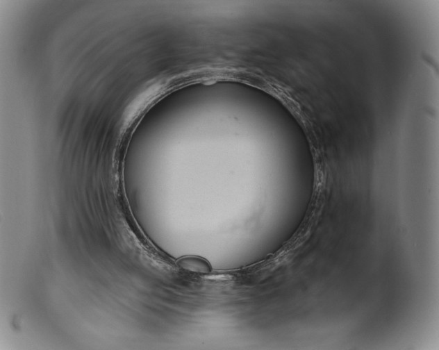X0000099440053200805231727