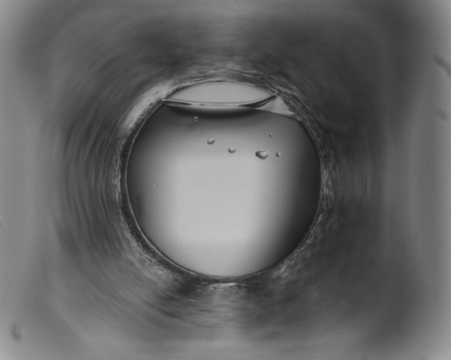 X0000099440054200805231727