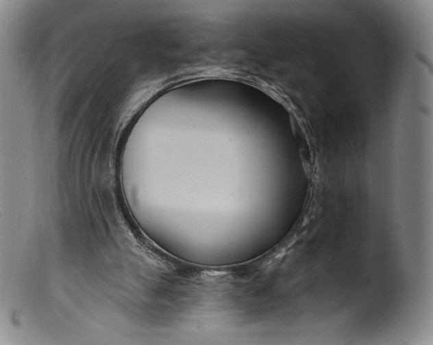 X0000099440055200805231727