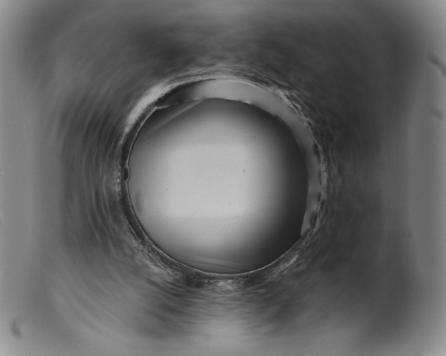 X0000099440056200805231727