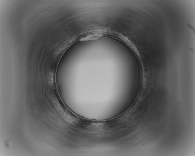 X0000099440057200805231727