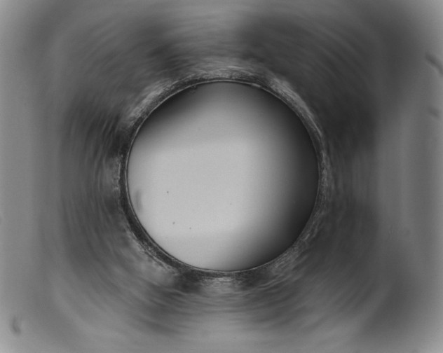 X0000099440058200805231727