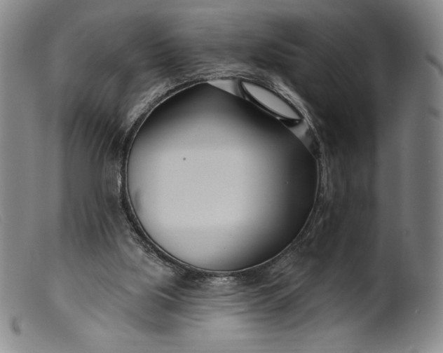 X0000099440059200805231727