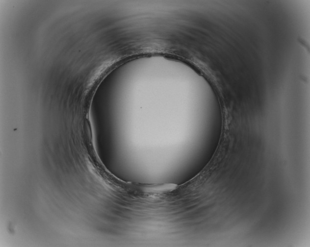 X0000099440060200805231727