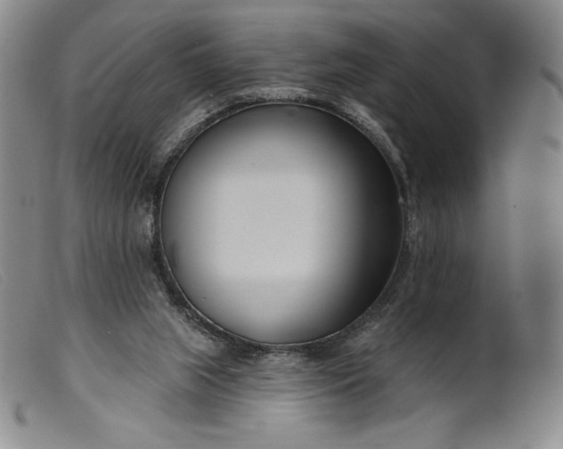 X0000099440063200805231727
