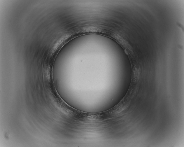 X0000099440064200805231727