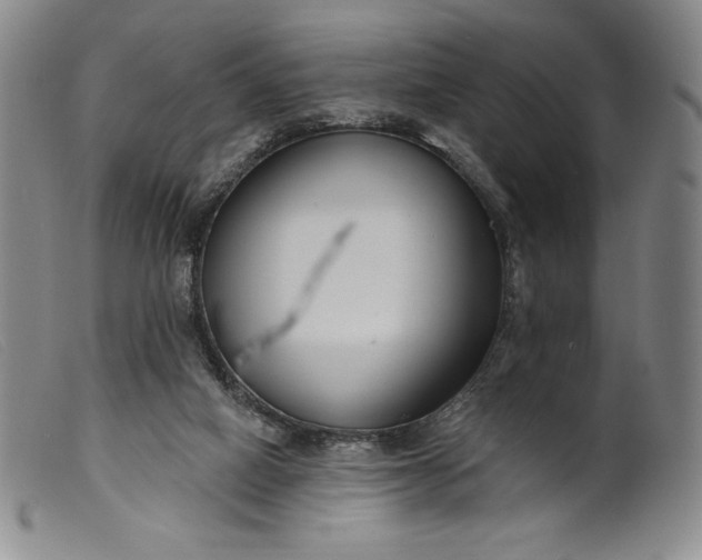 X0000099440066200805231727