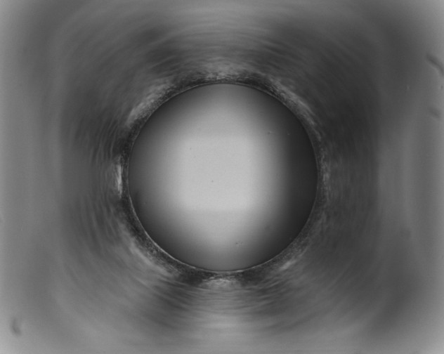 X0000099440067200805231727