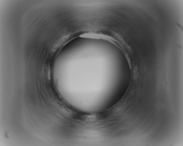 X0000099440068200805231727