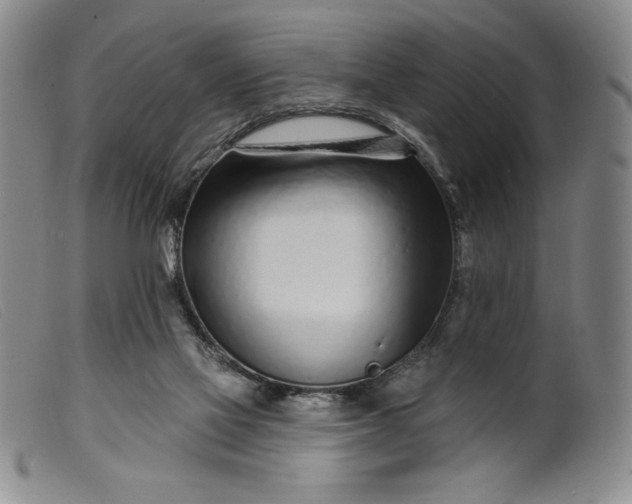 X0000099440069200805231727