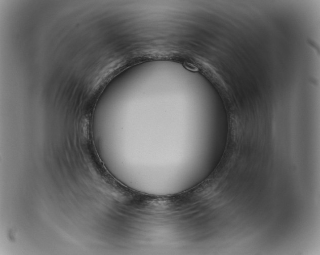 X0000099440071200805231727